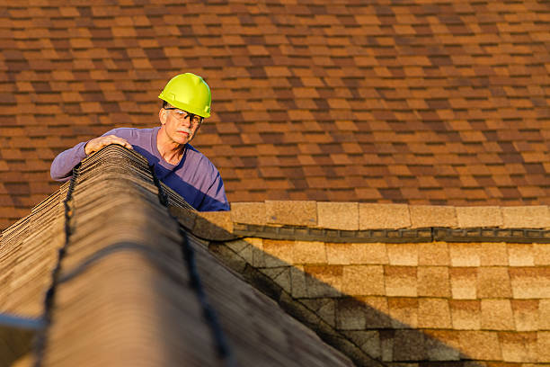 Quick and Trustworthy Emergency Roof Repair Services in Southern View, IL